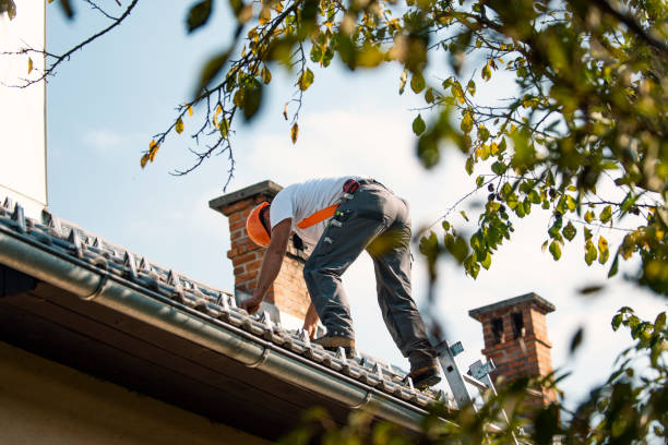 Best Affordable Roofing Company  in Wartburg, TN