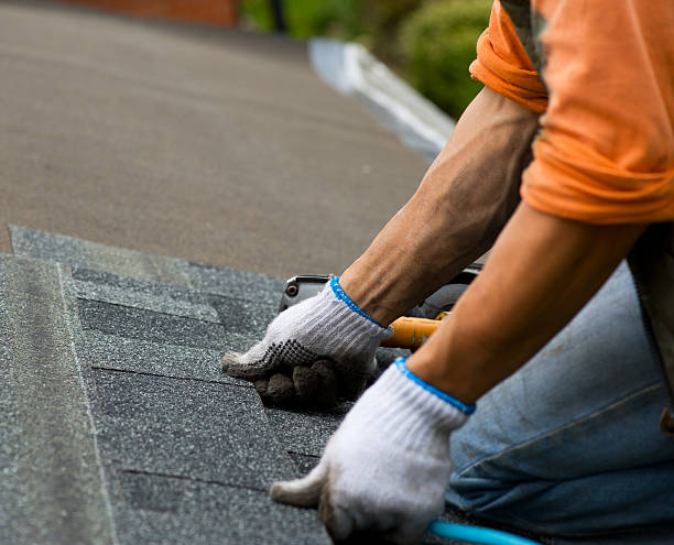 Quick and Trustworthy Emergency Roof Repair Services in Wartburg, TN