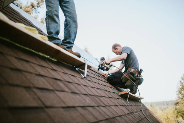 Best Local Roofing Companies  in Wartburg, TN